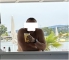 Szasz75 - Hetero Férfi szexpartner IV. kerület